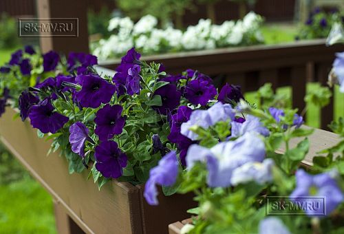 Строительство зимнего каркасного дома 222 кв м с эркером и гаражом в п Володарский - 18