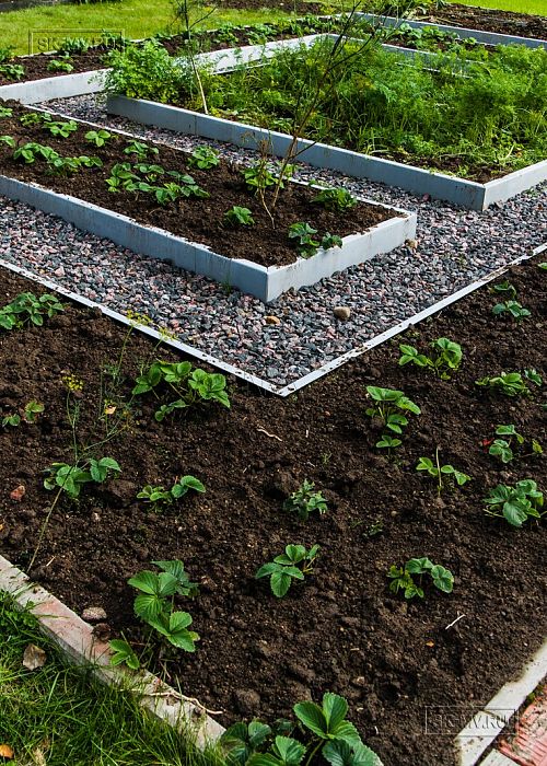 Ландшафтный дизайн территории загородного дома в Сосновом бору 2