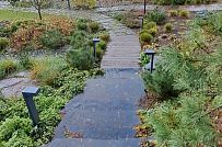 Сосновая аллея - мини - 38