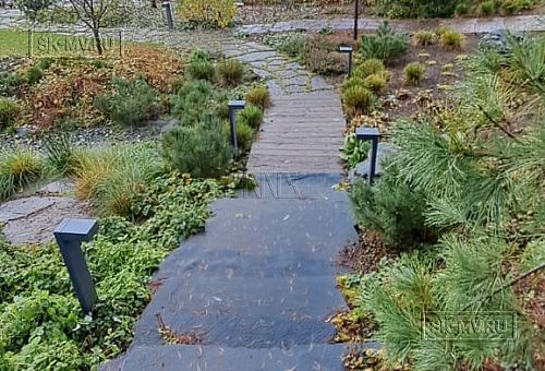 Сосновая аллея - 38