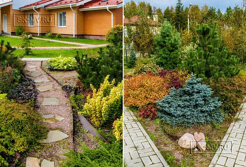 Ландшафтный дизайн участка в Сосновом бору 1 - 1