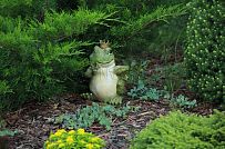 Ландшафтная архитектура участка в Зеркальном - мини - 3