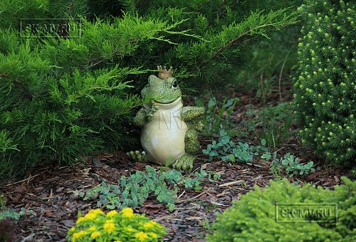 Ландшафтная архитектура участка в Зеркальном - 3