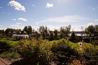 Ландшафтный дизайн территории домовладения в Северной короне 79 - мини - 2