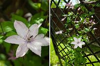 Строительство двухэтажного каркасного дома около 250 кв м с мансардными окнами и разноуровневой кровлей в п Володарский - мини - 7