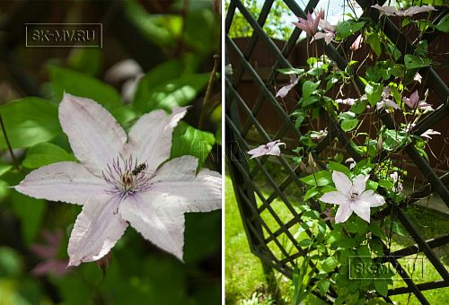 Строительство двухэтажного каркасного дома около 250 кв м с мансардными окнами и разноуровневой кровлей в п Володарский - 7