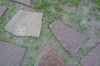 Ландшафтная архитектура участка в Пегелево - мини - 16