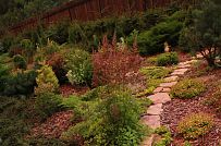 Ландшафтная архитектура участка в Зеркальном - мини - 9