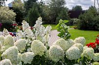 Строительство надежного газобетонного дома с панорамными окнами в д Олики - мини - 13