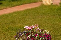 Новорижский 2 - мини - 3