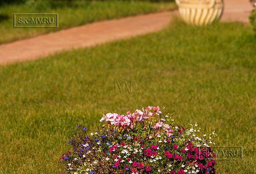 Новорижский 2 - 3