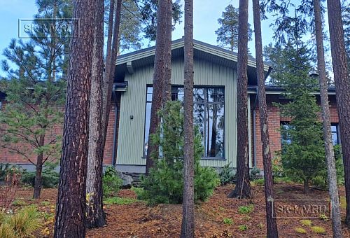 Сосновая аллея - 32