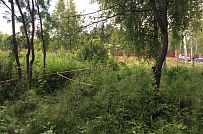 Руза Фэмили Парк - мини - 2