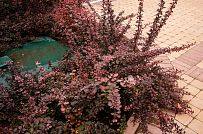 Строительство надежного газобетонного дома с панорамными окнами в д Олики - мини - 4