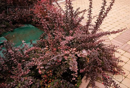 Строительство надежного газобетонного дома с панорамными окнами в д Олики - 4