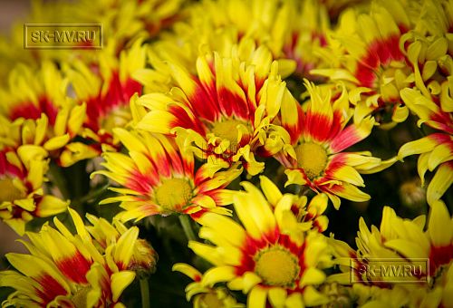 Строительство двухэтажного каркасного коттеджа 180 кв м в альпийском стиле в КП Смартвилль Москва - 20