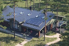 Проект "Еловая аллея" - 1