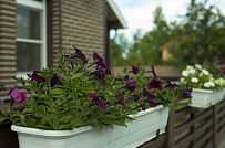 Строительство двухэтажного каркасного коттеджа шале около 300 кв м с комбинированной отделкой коричневым кирпичом и деревом в п Володарский - мини - 14