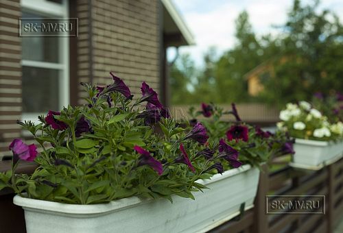 Строительство двухэтажного каркасного коттеджа шале около 300 кв м с комбинированной отделкой коричневым кирпичом и деревом в п Володарский - 14