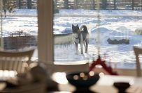 Дизайн интерьера каркасного дома в Оликах 3 - мини - 66