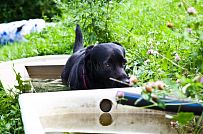 Строительство двухэтажного каркасного дома чуть более 200 кв м в скандинавском стиле в деревне Юкки - мини - 18