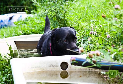 Строительство двухэтажного каркасного дома чуть более 200 кв м в скандинавском стиле в деревне Юкки - 18