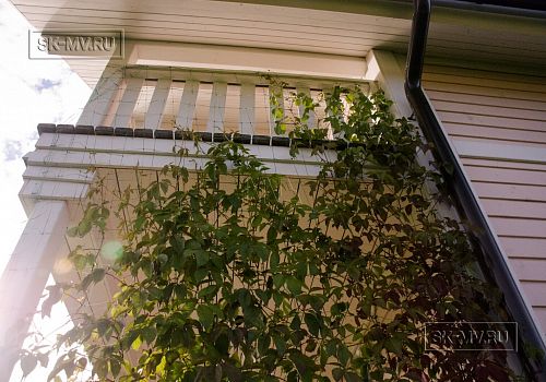 Проект "Ольшаники 4" -- 3950