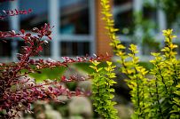 Строительство одноэтажного коттеджа из газобетона с теплой верандой с панорамным остеклением в КП Сосновое - мини - 17