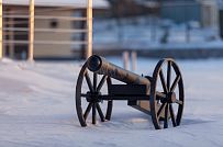 Ландшафтный дизайн участка в Пениках 1 - мини - 6