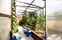 Ландшафтный дизайн территории домовладения в Порошкино 1 - мини - 9