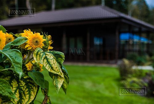 Построенный газобетонный дом в классическом стиле с эркером, балконом, навесом для автомобиля, остекленной верандой и комбинированной фасадной отделкой в кп Сосновое - 8