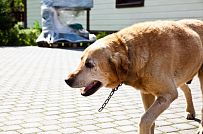 Строительство каркасного теплого дома с террасой и балконом в п Энколово - мини - 13