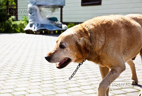 Строительство каркасного теплого дома с террасой и балконом в п Энколово - 13