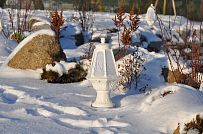 Благоустройство и озеленение участка в д Олики 3 фото - мини - 5