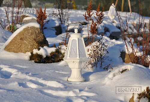 Благоустройство и озеленение участка в д Олики 3 фото - 5