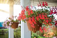 Построенный каркасный дом в п Озерное чуть более 170 кв.м с комбинированной отделкой бежевым кирпичом и зеленой отделочной доской, с террасой, навесом на два автомобиля и четырьмя спальнями - мини - 7