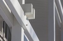 Малое Репино 1 - мини - 21