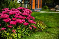 Ландшафтное проектирование участка в Сосновом бору 2 - мини - 8