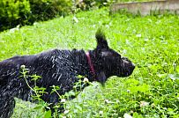 Строительство двухэтажного каркасного дома чуть более 200 кв м в скандинавском стиле в деревне Юкки - мини - 17