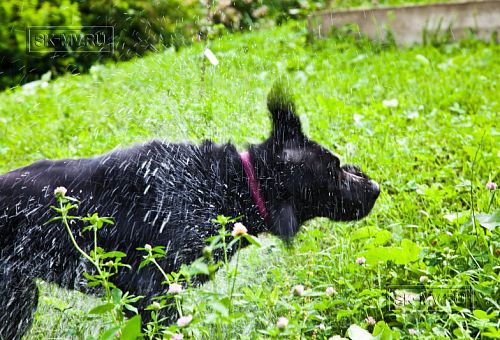 Строительство двухэтажного каркасного дома чуть более 200 кв м в скандинавском стиле в деревне Юкки - 17