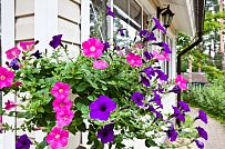 Строительство небольшого теплого зимнего двухэтажного каркасного коттеджа с сауной и верандой в Токсово - мини - 4