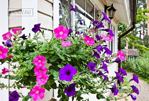 Строительство небольшого теплого зимнего двухэтажного каркасного коттеджа с сауной и верандой в Токсово - 4