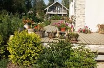 Ландшафтное проектирование участка в Балтийской Ривьере 1 - мини - 7