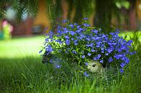 Строительство двухэтажного каркасного коттеджа 263 кв м с балконом, террасой и навесом для автомобилей в п Володарский - мини - 15