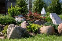 Благоустройство и озеленение участка в д Олики 3 фото - мини - 17