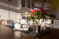 Дизайн интерьера каркасного дома в Оликах 3 - мини - 64