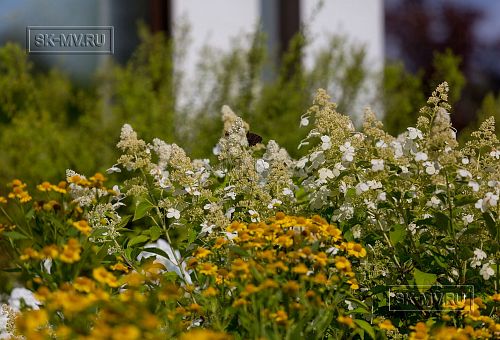 Ландшафтный дизайн участка в Оликах 2 - 9