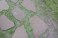 Ландшафтная архитектура участка в Пегелево - мини - 14