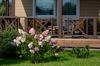 Пегелево 1 - мини - 20