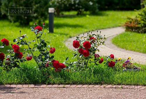 Строительство надежного газобетонного дома с панорамными окнами в д Олики - 15